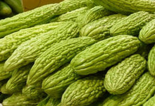 Load image into Gallery viewer, Full Tray (18 Plants) Canadian Bitter Melon (ਕਨੇਡੀਅਨ ਕਰੇਲਾ)
