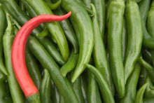 Load image into Gallery viewer, Full Tray (48 Plants) of Long Cayenne Pepper (ਲੰਬੀ ਕੌੜੀ ਮਿਰਚ)