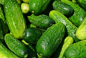 Bush Pickle Cucumber (ਬੁੱਸ਼ ਪਿੱਕਲ ਖੀਰਾ)