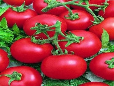 Glamour Tomato (ਮੀਡੀਅਮ ਟਮਾਟਰ)