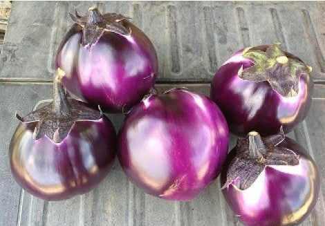 Sicilian Eggplant (ਇਟਾਲੀਅਨ ਬੈਂਗਣ)