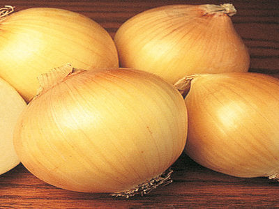 Yellow Spanish Onion (ਪੀਲਾ ਪਿਆਜ਼)