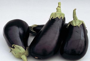 Big Classic Eggplant (ਵੱਡਾ ਬੈਂਗਣ)