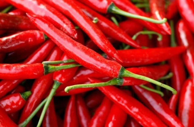 Ring of Fire Chili Pepper (ਲੰਬੀ ਕੌੜੀ ਮਿਰਚ)